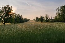 Kickoff-Event BWimpact – Agroforst