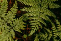 Webinar "EU CRCF, EmpCo und Co. - Das müssen Unternehmen jetzt zur Regulatorik wissen"