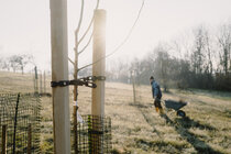 Mitmachaktion Streuobstwiese